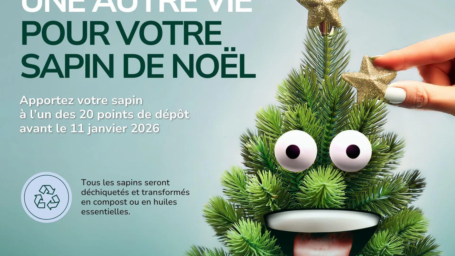 Recolo Facebook Sapins 2026