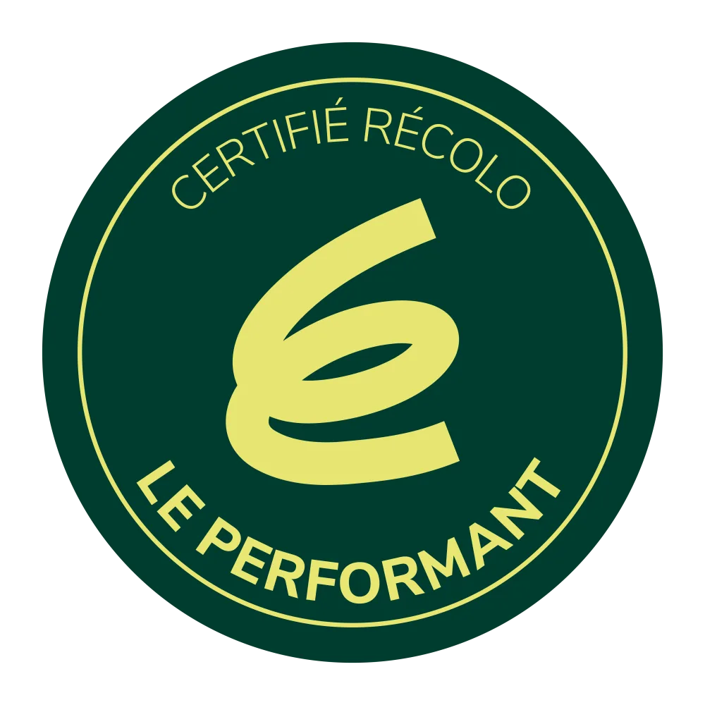 Logo recolo final performant